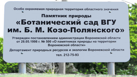 В Воронежской области памятники природы отметят указателями
