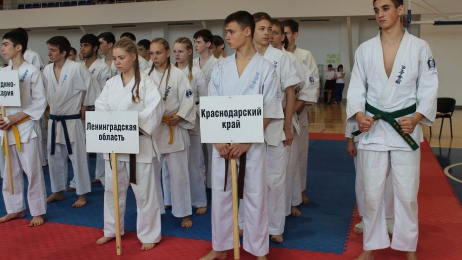 В Верхней Хаве прошло всероссийское первенство Федерации стилевого каратэ 