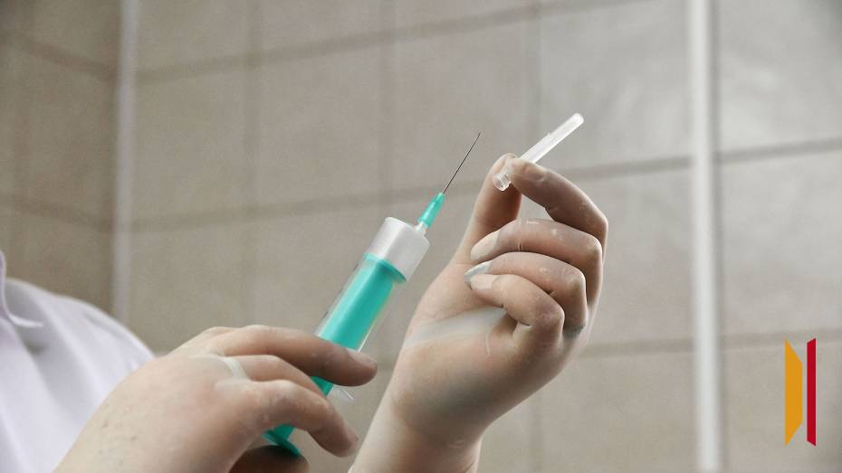 В Воронежской области изымут и уничтожат вакцину «Мультикан-8», из-за которой умирали собаки