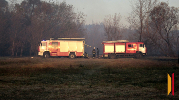 В Воронежской области завершился пожароопасный сезон
