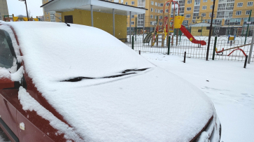 Циклон «Рикса» принес снегопад в Воронеж