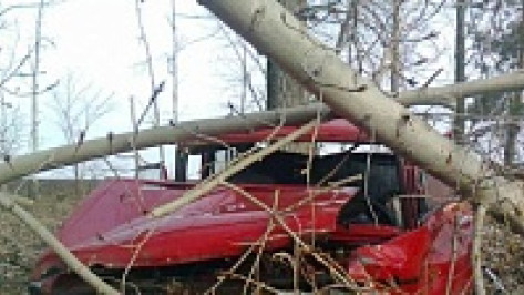 Вчера в Воронежской области произошло 154 ДТП