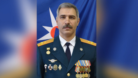 Управление МЧС России по Воронежской области возглавил Александр Кошель