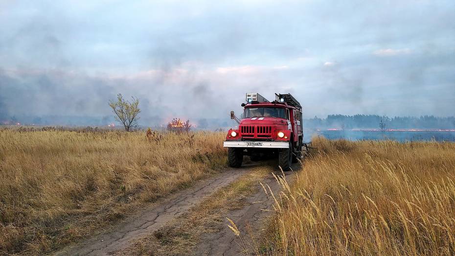 Число районов Воронежской области с максимальным риском возникновения пожаров выросло до 12