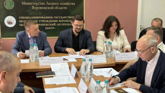 В Воронежской области эксперты обсудили выращивание сеянцев сосны с закрытой корневой системой