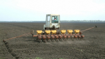 Под Воронежем сельхозкомпанию оштрафовали на 400 тыс рублей за опасные пестициды