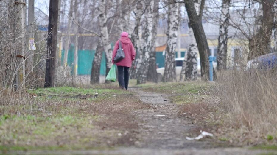 В грибановском селе на строительство тротуара выделили 2,2 млн рублей