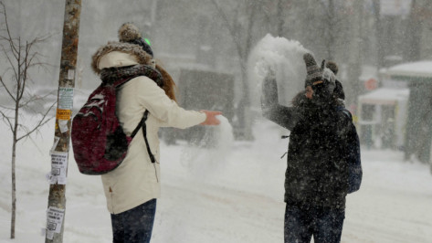 Метеорологи рассказали, когда в Воронеже выпадет снег