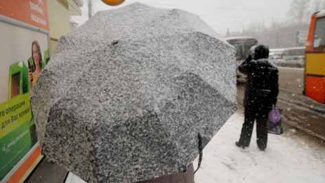 Спасатели предупредили воронежцев о снеге и гололедице 30 марта