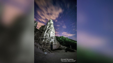 Гран-при конкурса на лучшее фото заповедной природы получил снимок «Большие дивы ночью»