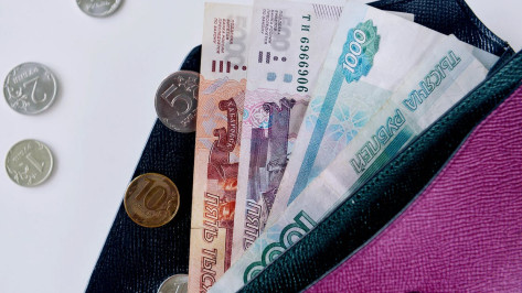 Среднюю зарплату на воронежских малых предприятиях оценили в 36,1 тыс рублей