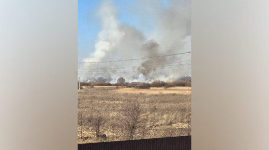 Воронежские пожарные 8 марта получили 13 вызовов из-за горящей травы