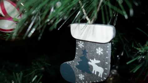 На Кремлевскую елку в 2017 году отправятся 32 школьника из Воронежской области