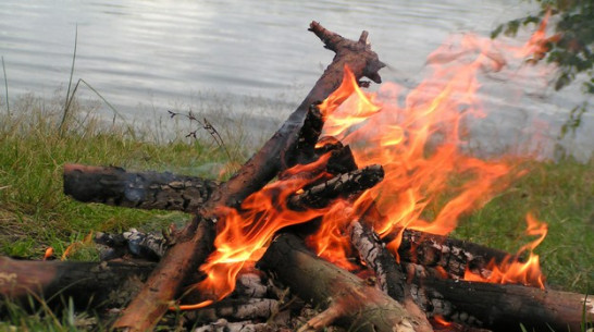 Из-за жары воронежские спасатели будут усиленно патрулировать леса и места массового отдыха