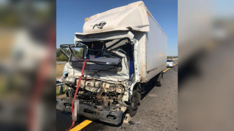 В Воронежской области столкнулись 2 грузовика: 2 мужчин госпитализировали