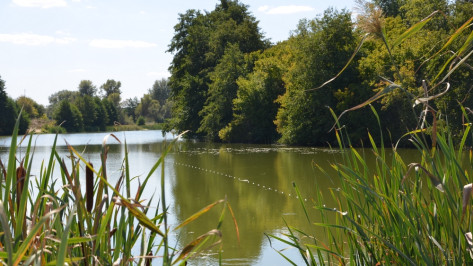 Пропавшего в Воронежской области 59-летнего мужчину с татуировками нашли мертвым