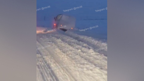 По дороге в воронежское село Землянск пассажирский автобус вылетел в кювет