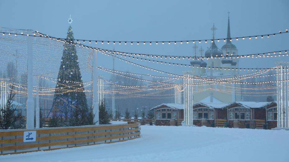 В Воронеже каток на Адмиралтейской площади закрыли из-за снега с дождем