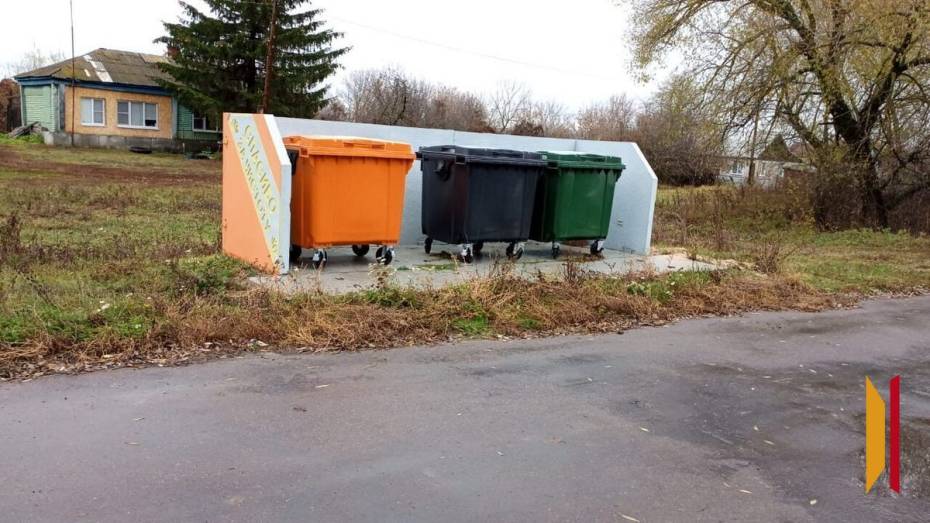 Для Народненского сельпоселения Терновского района закупили 30 мусорных контейнеров
