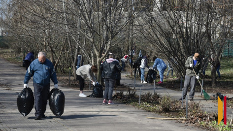 Общегородской субботник в Воронеже отменили из-за непогоды