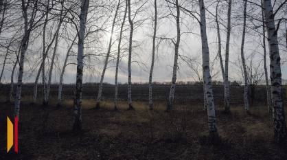 Ольховатский заказник площадью 1900 га создали в Воронежской области