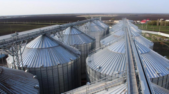 «МРСК Центра» электрифицирует агрокомплексы в Воронежской области