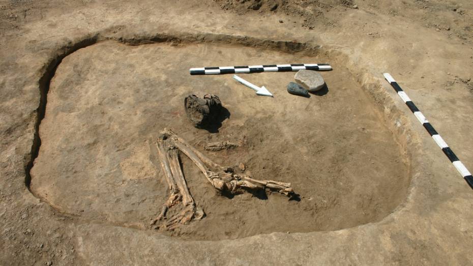 В Павловском районе археологи нашли захоронения катакомбной культуры