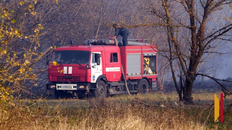 В Воронежской области число районов с максимальной пожароопасностью уменьшилось до 25
