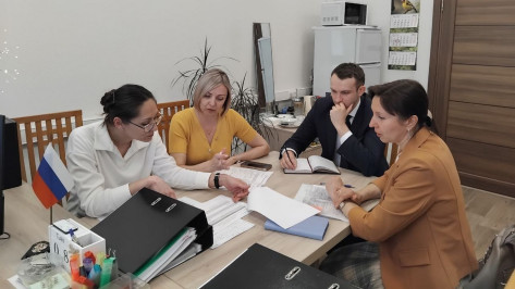 Управление финансово-бюджетными отношениями Воронежской области готовится к защите статуса образца бережливого управления местного уровня