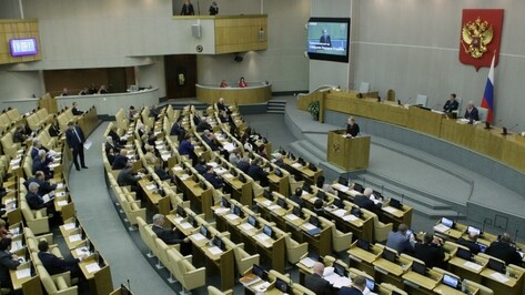 Воронежские депутаты Госдумы в 2016 году заработали 191 млн рублей
