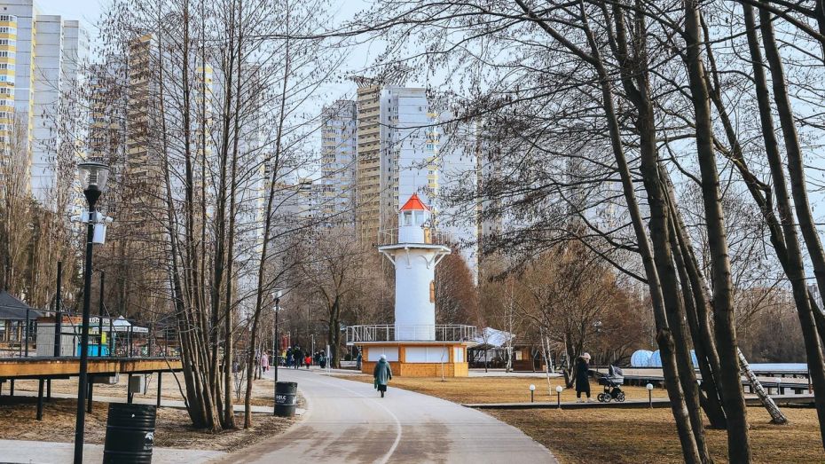 Три парка в Воронеже обработают от клещей 4 и 5 апреля