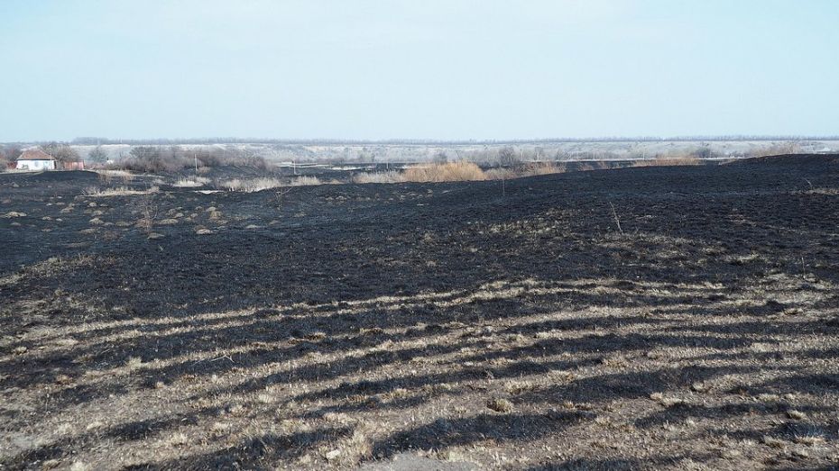 В Бутурлиновском районе за 6 дней произошло 75 ландшафтных пожаров