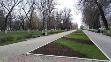 На благоустройство парка в Павловске потратят 22,5 млн рублей