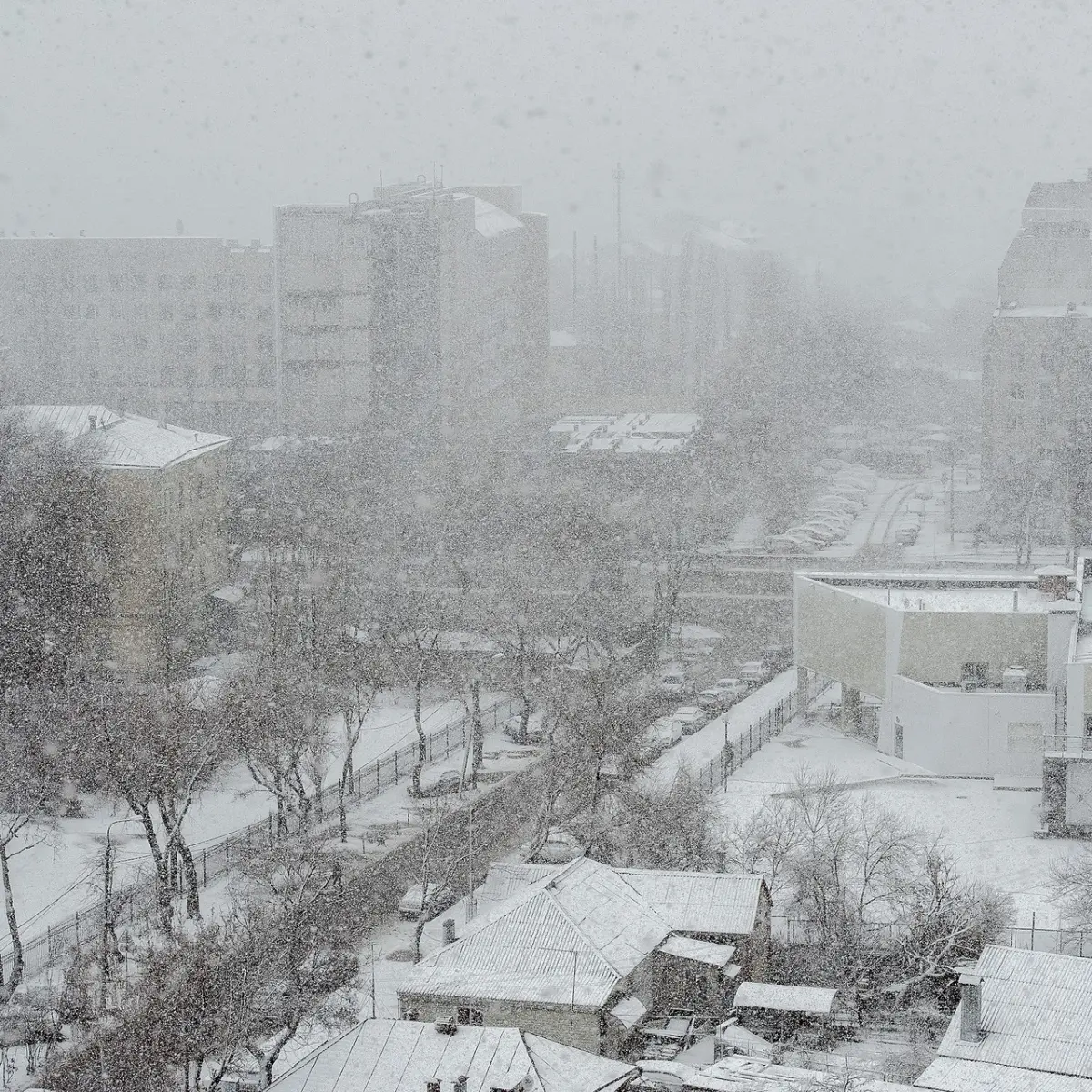 В Воронежскую область вернутся снегопад и гололедица