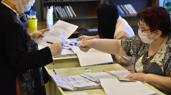 В Общественной палате подвели итоги досрочного голосования в Воронежской области 