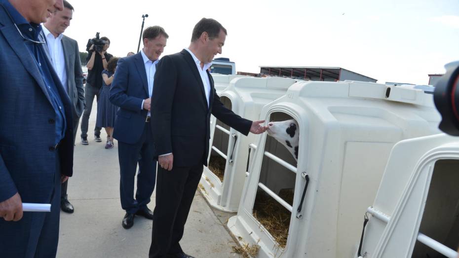 После визита в Воронеж Дмитрий Медведев утвердил госпрограмму развития сел