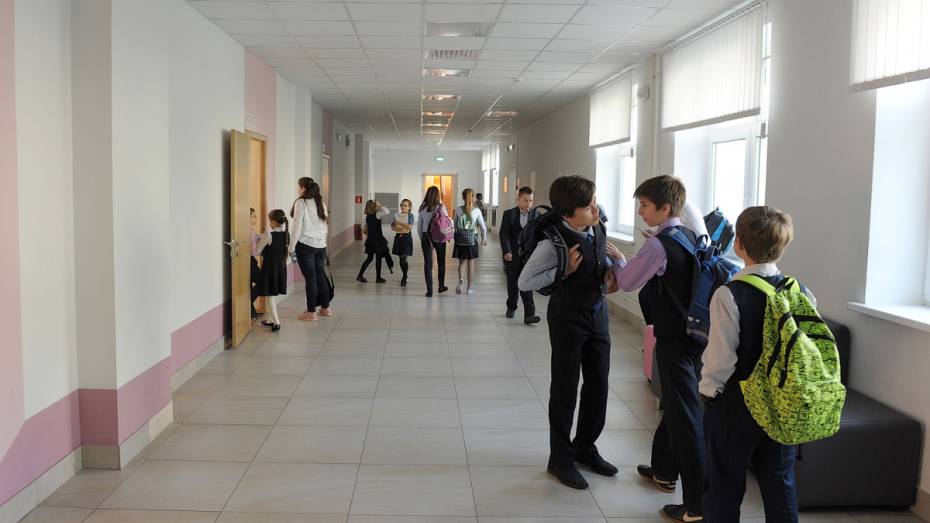В Воронежской области на горячее питание для младшеклассников выделят 522 млн рублей