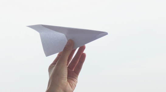 Воронежцы отправятся на национальный чемпионат по запуску бумажных самолетиков