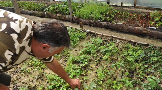 Правительство Воронежской области выделит 150 миллионов рублей на развитие систем мелиорации