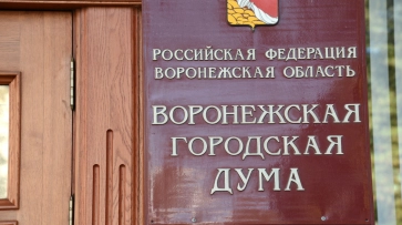 Гордума приняла бюджет Воронежа на 2019 год