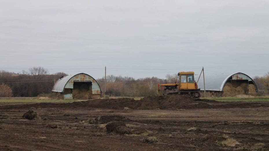 Погода в петропавловке воронежской области на неделю