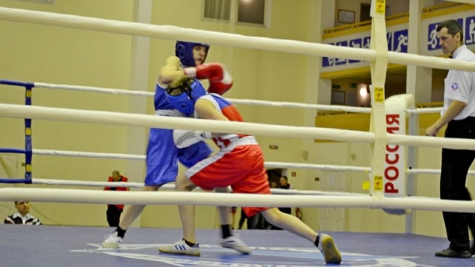Грибановские боксеры завоевали три золота и серебро на областном турнире