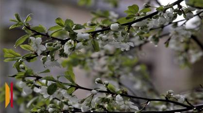 Воронежцам рассказали, какая погода будет в областном центре 1 мая