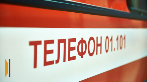 В воронежском поселке в пожаре в двухквартирном доме погибли два человека