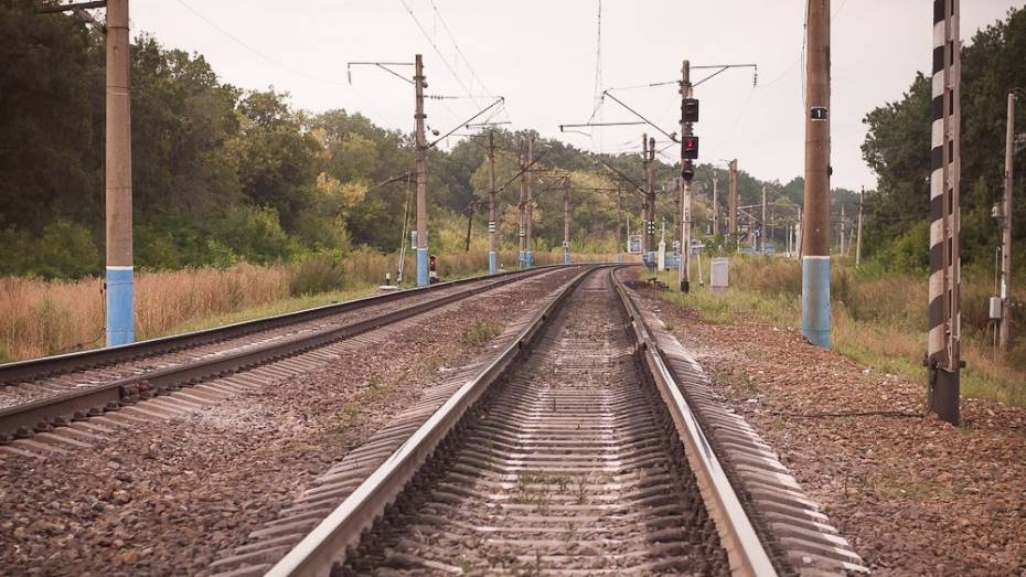 В Лискинском районе под колесами поезда погиб 38-летний мужчина