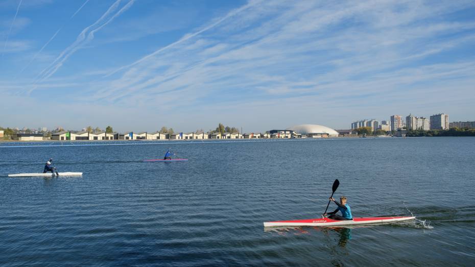 Многопрофильный спортивный кластер в Воронеже получит господдержку