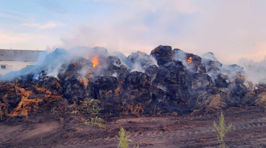 У воронежского фермера сгорело 100 тюков сена из-за детской шалости