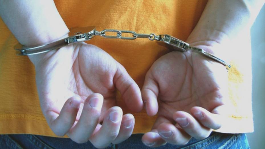 Житель Богучарского района ограбил на трассе проститутку