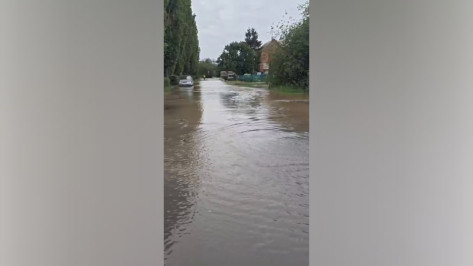 Потоп в районе улицы Димитрова в Воронеже сняли на видео