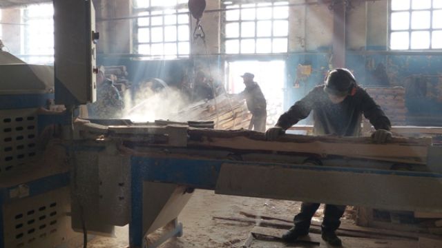 На базе колонии под Воронежем запустили линию по распиловке древесины